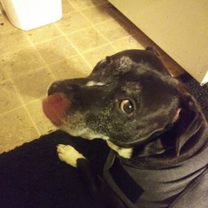 Meet your Posher, Jt